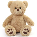 Plush Teddy Bear
