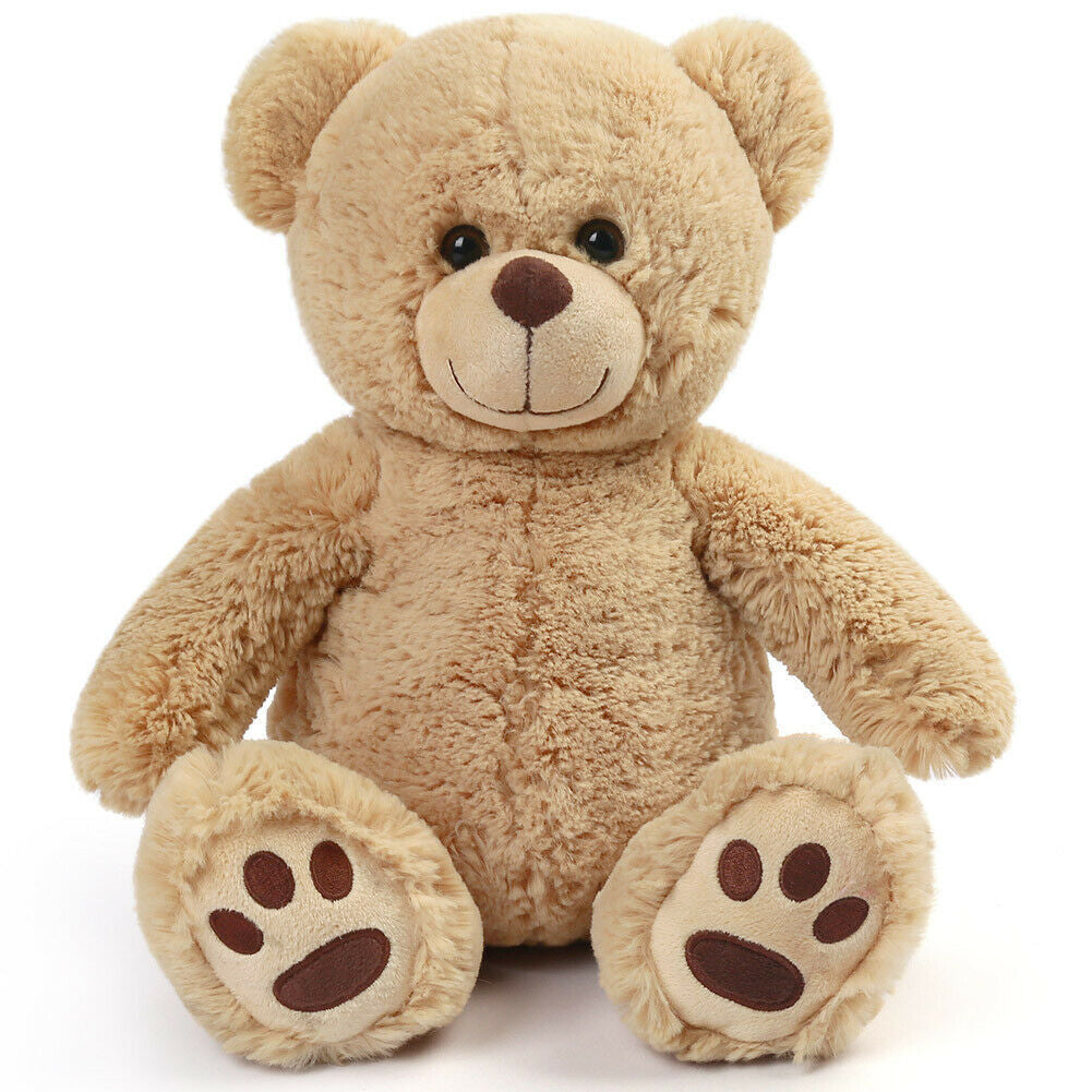 Plush Teddy Bear