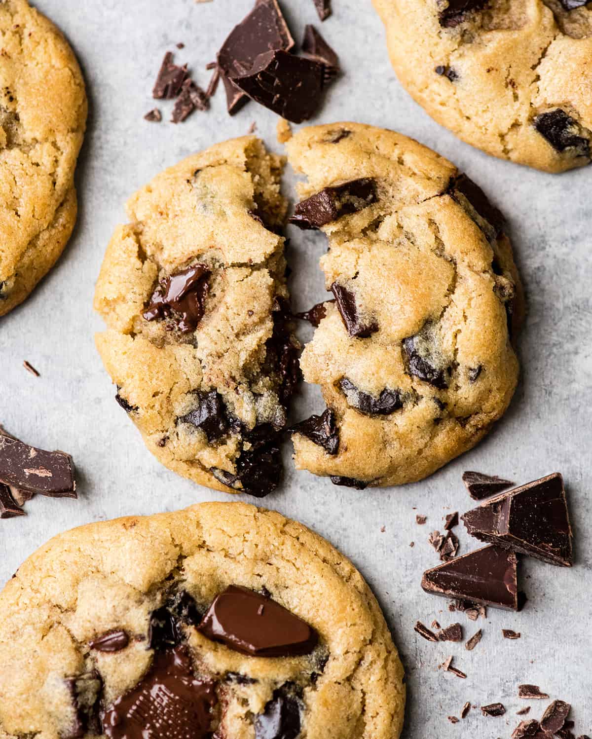 Gourmet Chocolate Chip Cookie