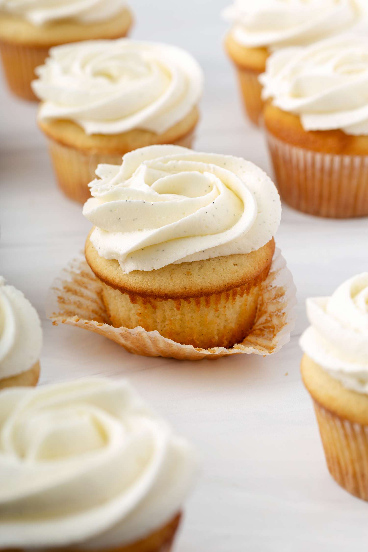 Gourmet Vanilla Cupcake