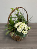 Sweet Serenity Dish Garden
