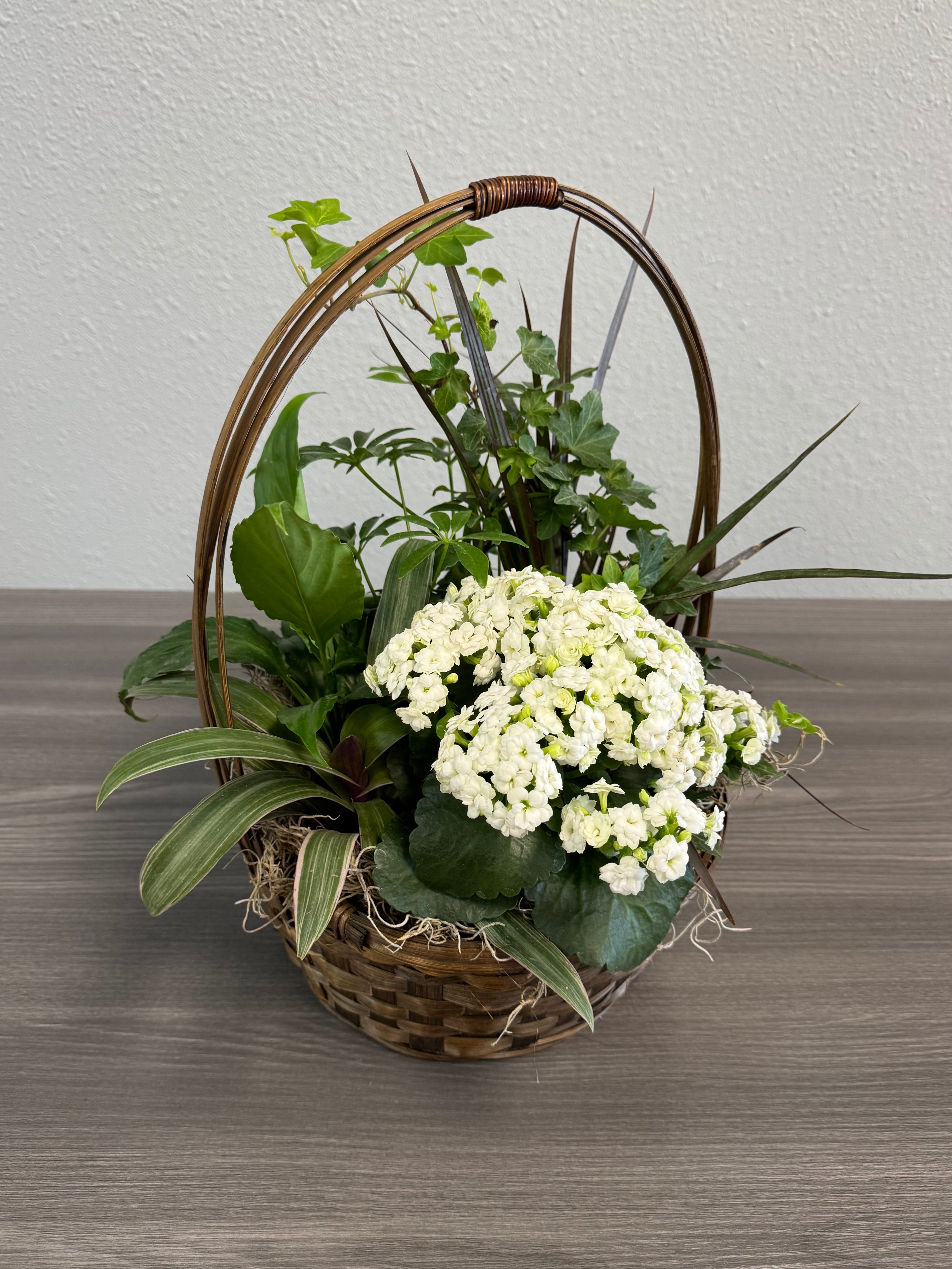 Sweet Serenity Dish Garden