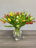 Spring Tulip Garden