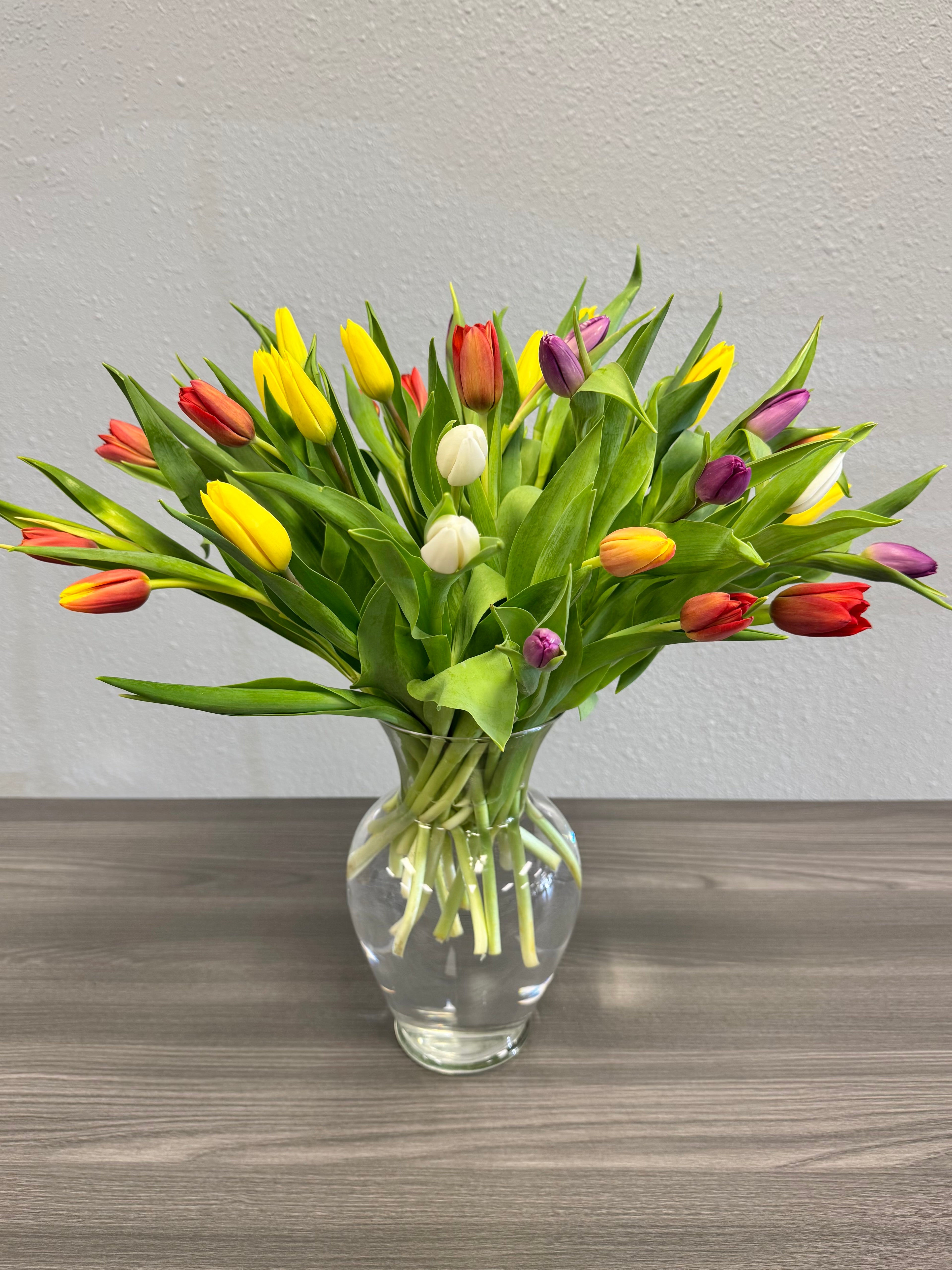 Spring Tulip Garden
